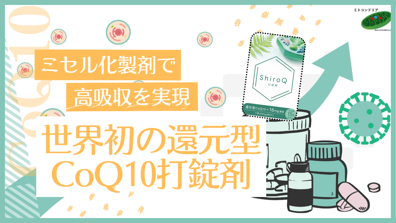 サプリメントのプロモーション動画