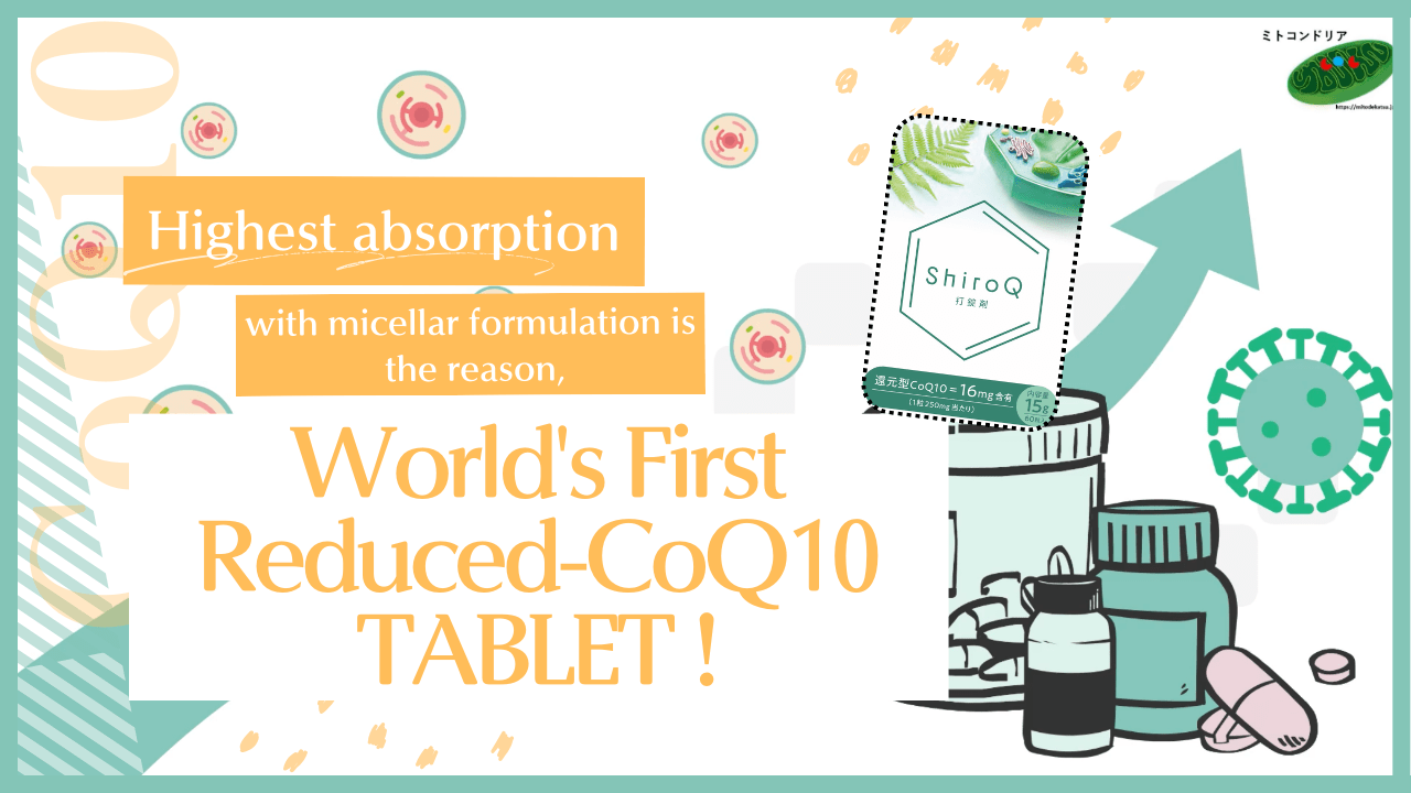 英語での海外向け商品紹介動画